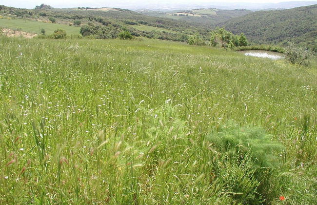 Casa Guaitoli - Foto 23
