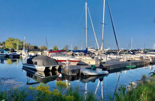 Sweet Cherry "Coral Shutter" - Foto 9