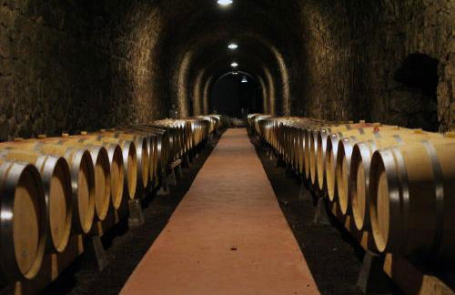 Les Barras’k - Foto 19