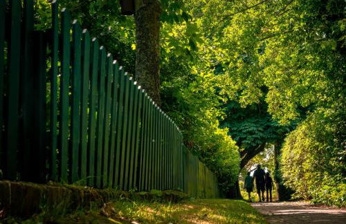 Noorderpad 5 Sternenkieker - Foto 34