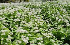 The Hideaway - Foto 16