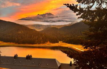 Adorable Chalet Sur le lac de Payolle - Foto 19