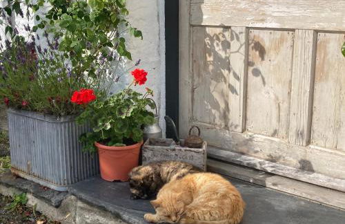 Naturesbase Lodge - Photo 28