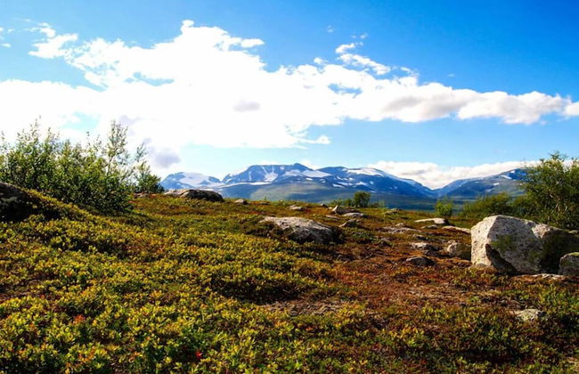 Furuheim Gard - Foto 11