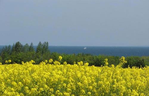 Ferienwohnung Sommerglück in Proseken - Foto 38