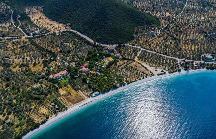 Manto Studios - Photo 27