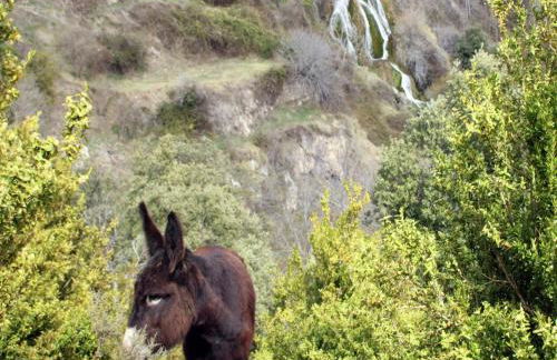 Belvilla by OYO Cobert de l'Era - Foto 19