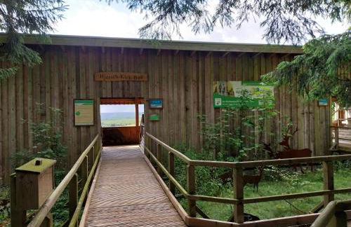 Ferienwohnung EifelReich - Photo 22