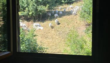 Casa Olivera - Photo 5