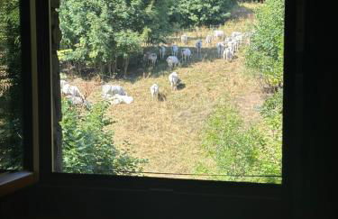 Casa Olivera - Photo 5