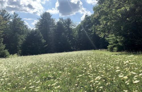 Gorgeous Cottage for Two, Overlooking Pond on 20 acres, Glamping in Pennsylvania - Foto 52