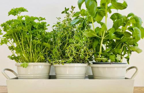 The Old Workshop, Wadhurst - Foto 37