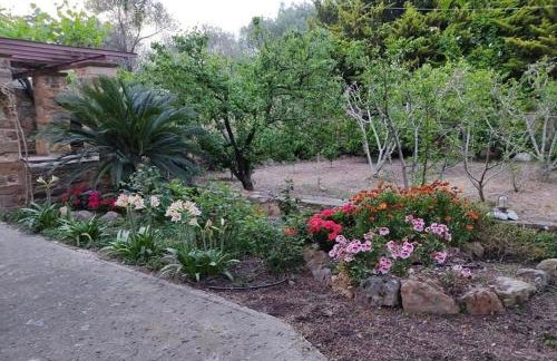 Jasmine Kampos - Foto 17