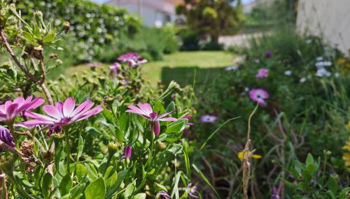 Villa Lente - Foto 4, Garden, Garden view