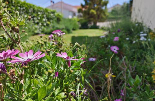 Villa Lente - Photo 4