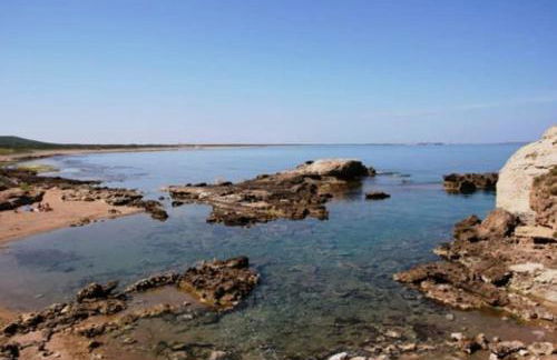 Il Balenottero - Photo 31