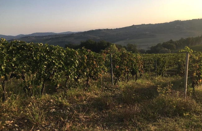 Tuscany Bliss: Garden Retreat - Foto 29