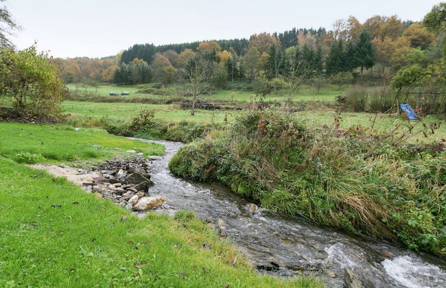 Apartment in the Hunsruck Region's Drohn Valley - Photo 24