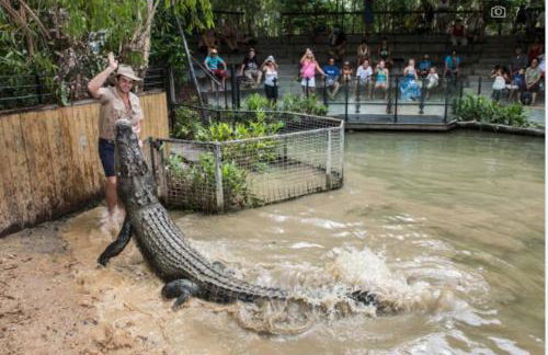 Ô chalets de Provence - Foto 13