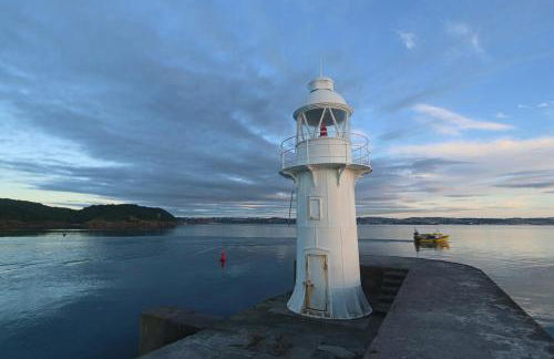 Drift Cottage - Fisherman's Cottage Brixham harbour - Photo 31