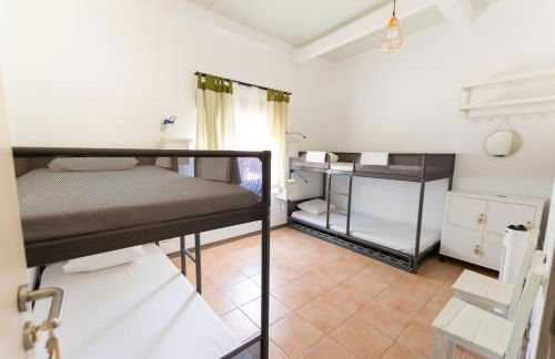 Natur - Quinta Nª Srª da Conceição - T4 - Golegã - Foto 10