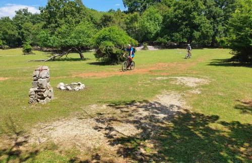 Stone House Rosuja - Foto 58