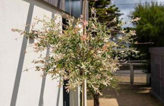 Villa unique face océan et plage de la govelle - Foto 25