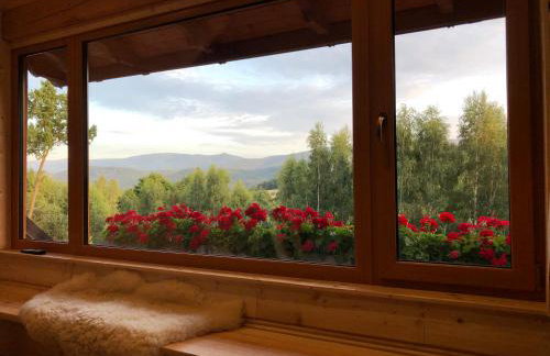 Apartament Hakerówka - Foto 49