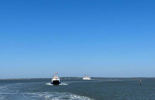 Langeoog-Villa Apollonia - Foto 75