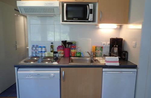 Appartements du Pic d'Anie - Foto 27