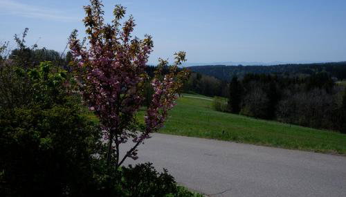Haus Lichtblick - Foto 4