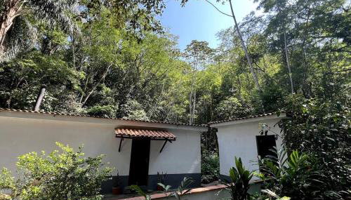 Casa na Floresta - 50 min do Rio - Foto 4