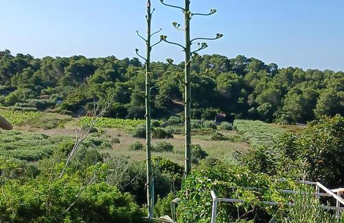 Tip-Top apartments - Foto 4