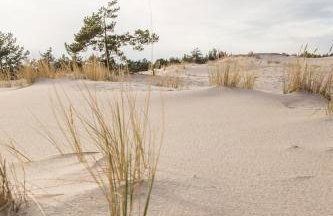 Słowiński Zakątek - Foto 63