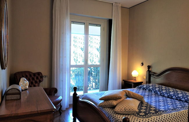 Pettirosso - Photo 6