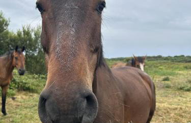 Captivating 2-bed Static Caravan on Private Land - Foto 15