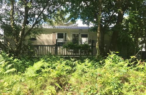 Forest View at Oakdene Forest Park - Leisure Passes Included! - Foto 1