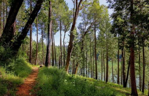 Stunning and Secluded Lakeside Getaway in the Grass Valley of California - Foto 22