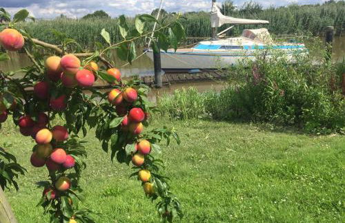 Fewo Lüheblick im Haus Lühegarten - Photo 32