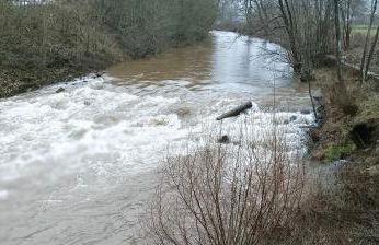 Eifelerlebnis - Foto 4