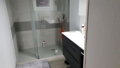 GITE MAISON prox le mans circuit et zoo la fleche a 18kms - Photo 3, Shower