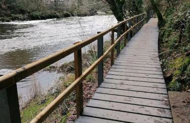 Cottage by the river in Cenarth with seasonal fishing and Wifi - Foto 4