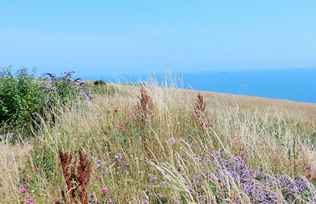 7 Coastguard Cottages - Foto 17