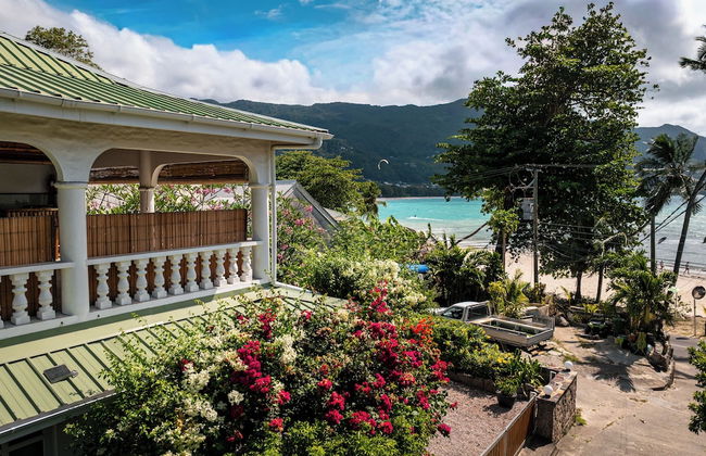 Beau Bamboo - Foto 71