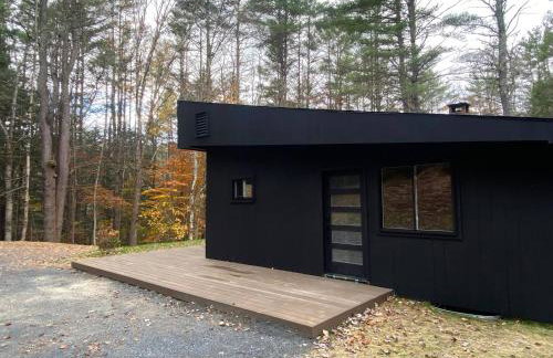 Scandinavian Serenity Close to Okemo - Foto 1