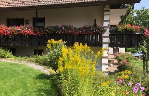 Haus Hubertus - Photo 44