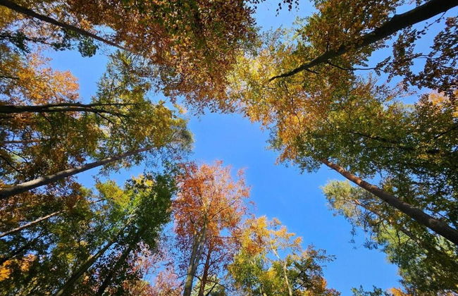 Charmante Ferienwohnung im Ferienpark - Foto 26