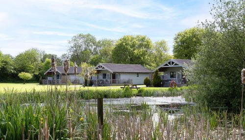 Woodpecker Lodge, Redlake Farm nr Glastonbury - Foto 3, Garden view