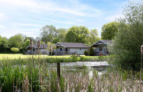 Woodpecker Lodge, Redlake Farm nr Glastonbury - Foto 3