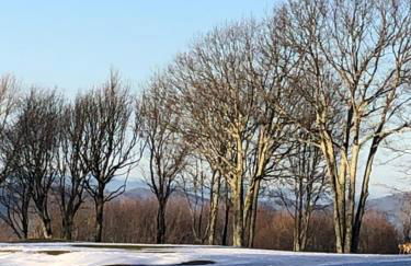 Beech Mountain Swiss-style Chalet - Foto 34